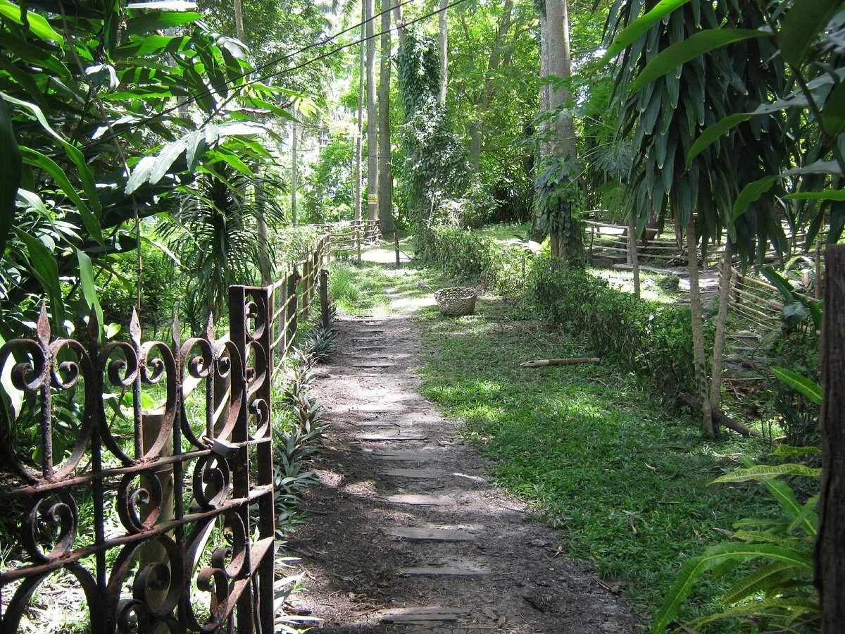 Monfort Bat Sanctuary