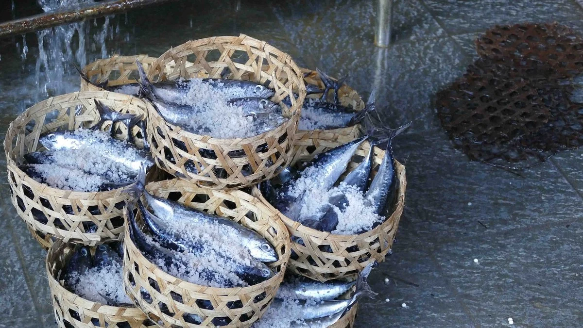 Fish Market Kusamba  ( Klungkung )