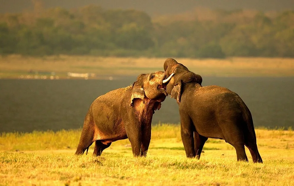 Kalawewa National Park