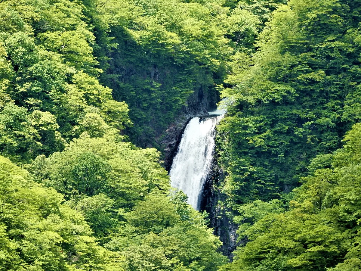 Takimidai Lookout