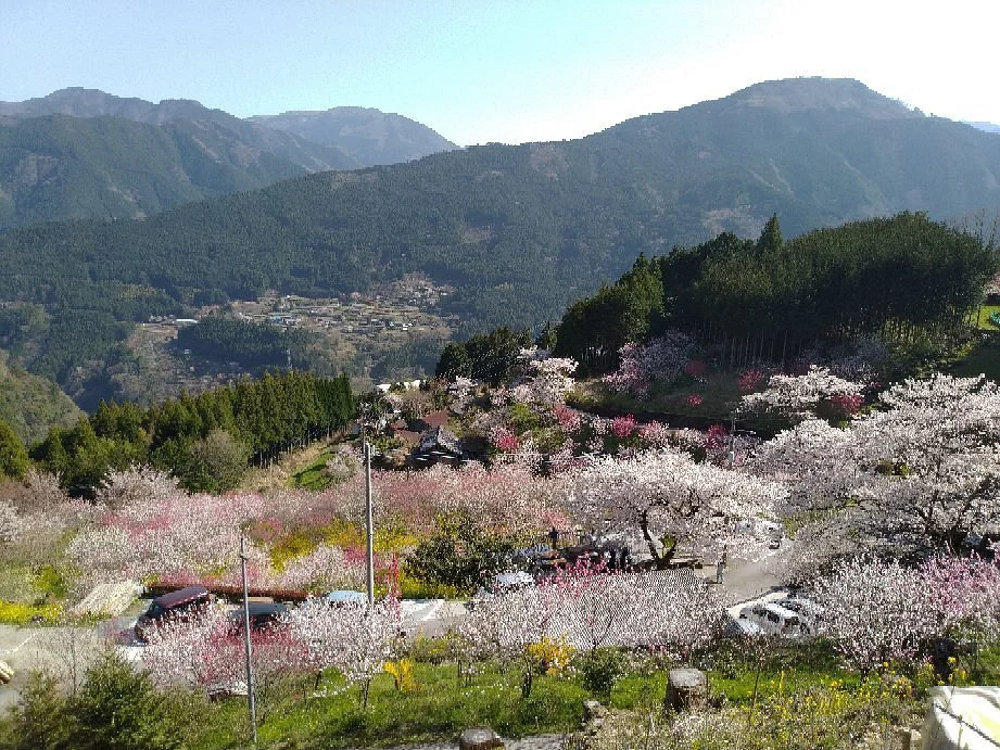 Nakatsu Hanamomo no Sato