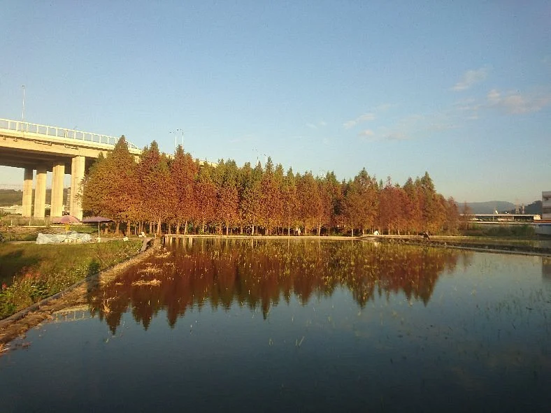 Wufeng Luoyu Songlin