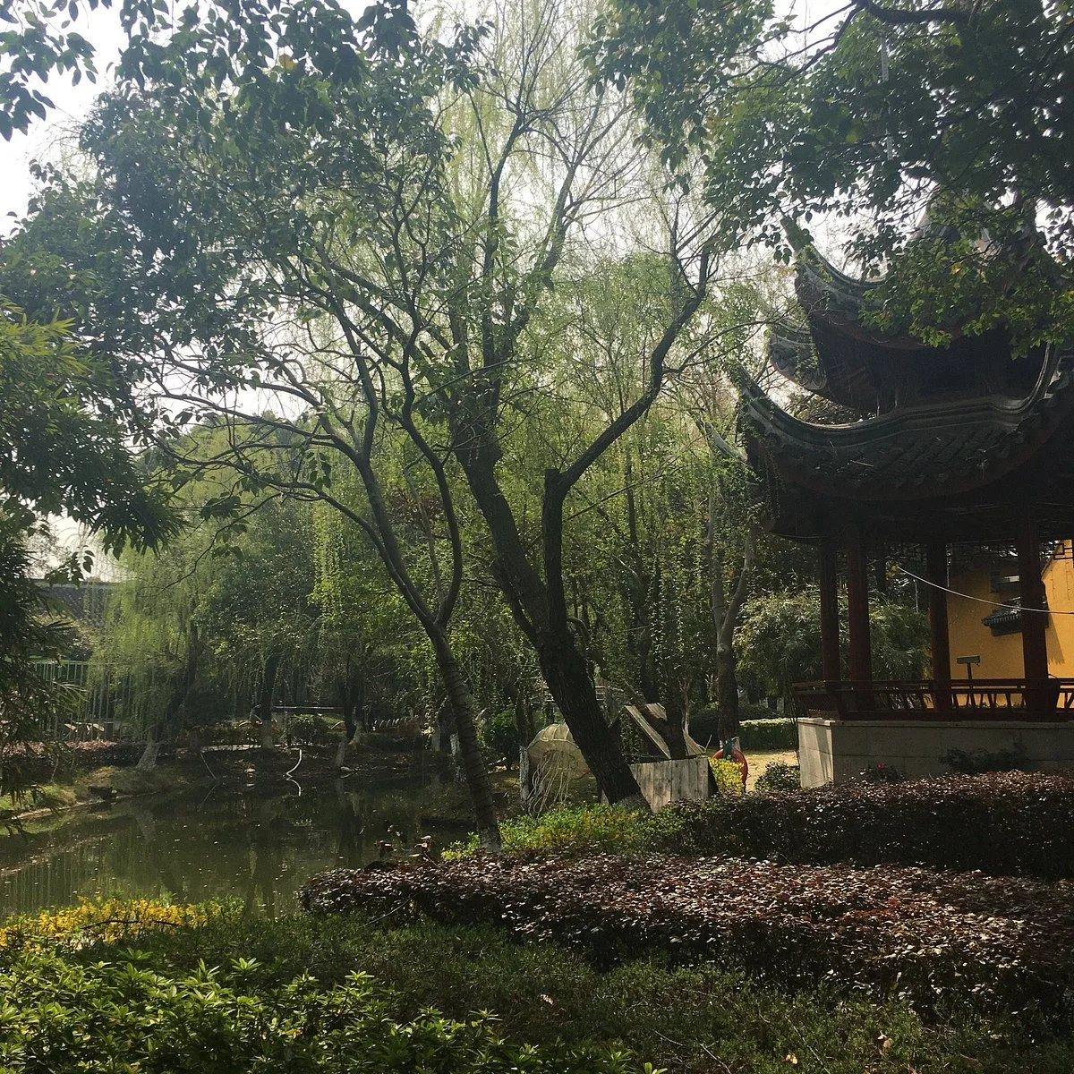 Ding Park