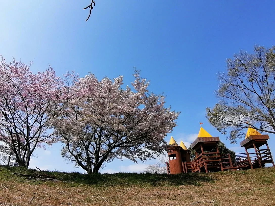 Aichi Showa Forest