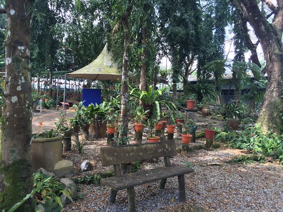 Pitcher Plants Garden