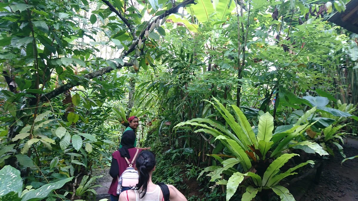 One Bali Agrowisata