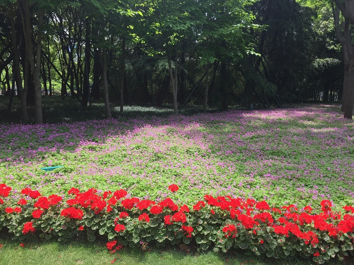 Shangqiu People's Park