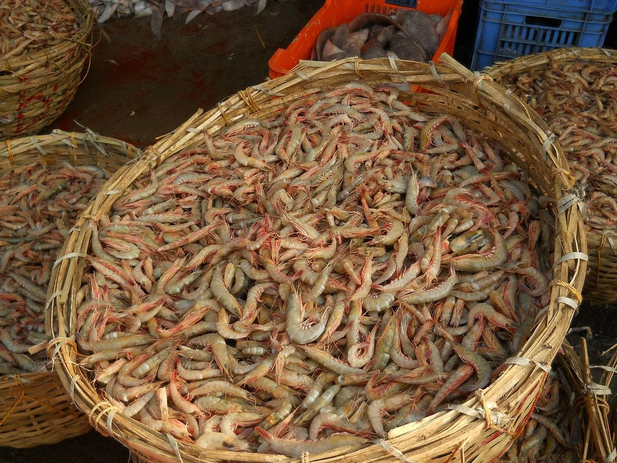 Digha Mohana Fish Market