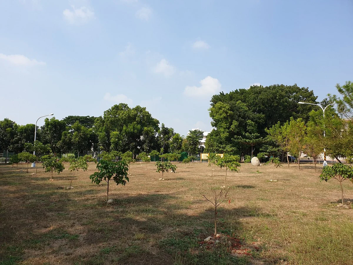 Caotun Native Plant Park