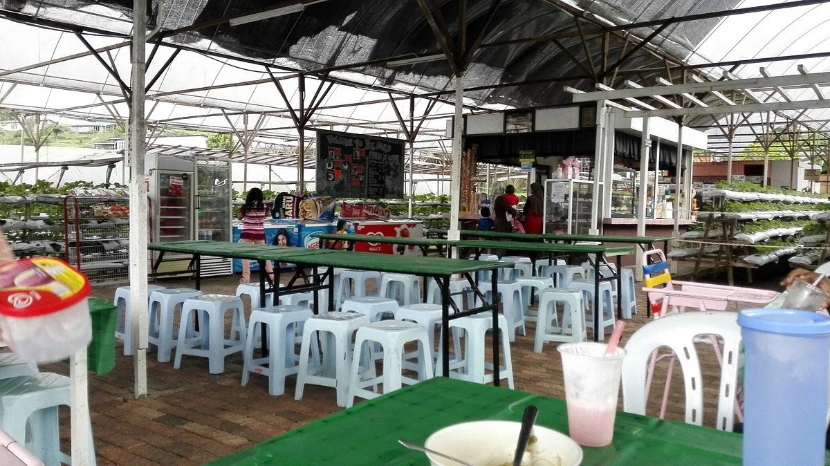 Taman Agro Al-Mashoor