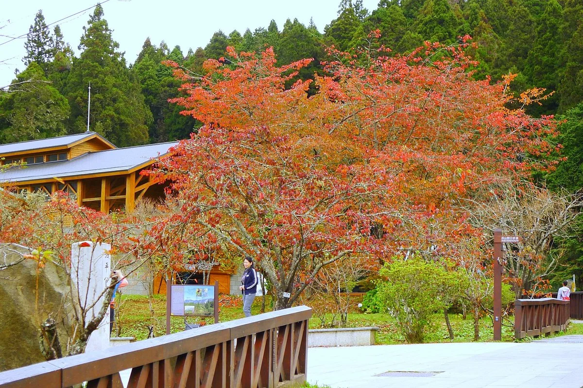 Alishan Jhaoping Park