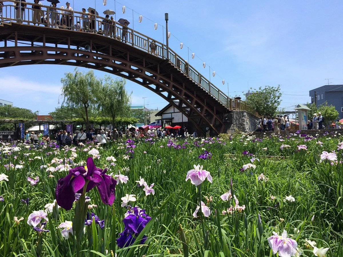 Suigo Itako Iris Festival
