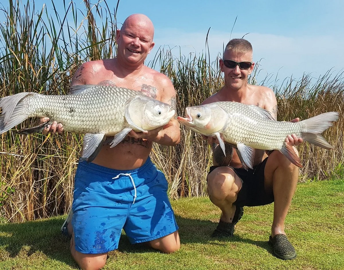 Elton View Fishing Park