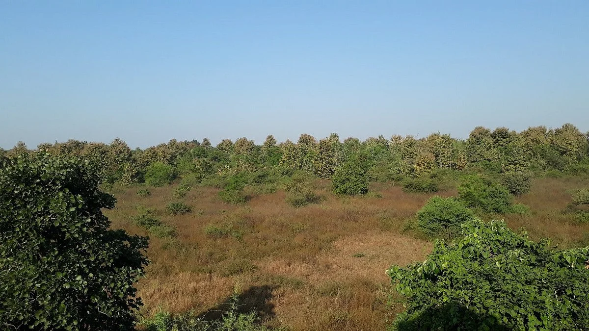 Ambazari Biodiversity Park