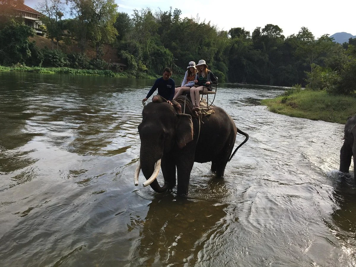 Damnoen Saduak Elephant Village