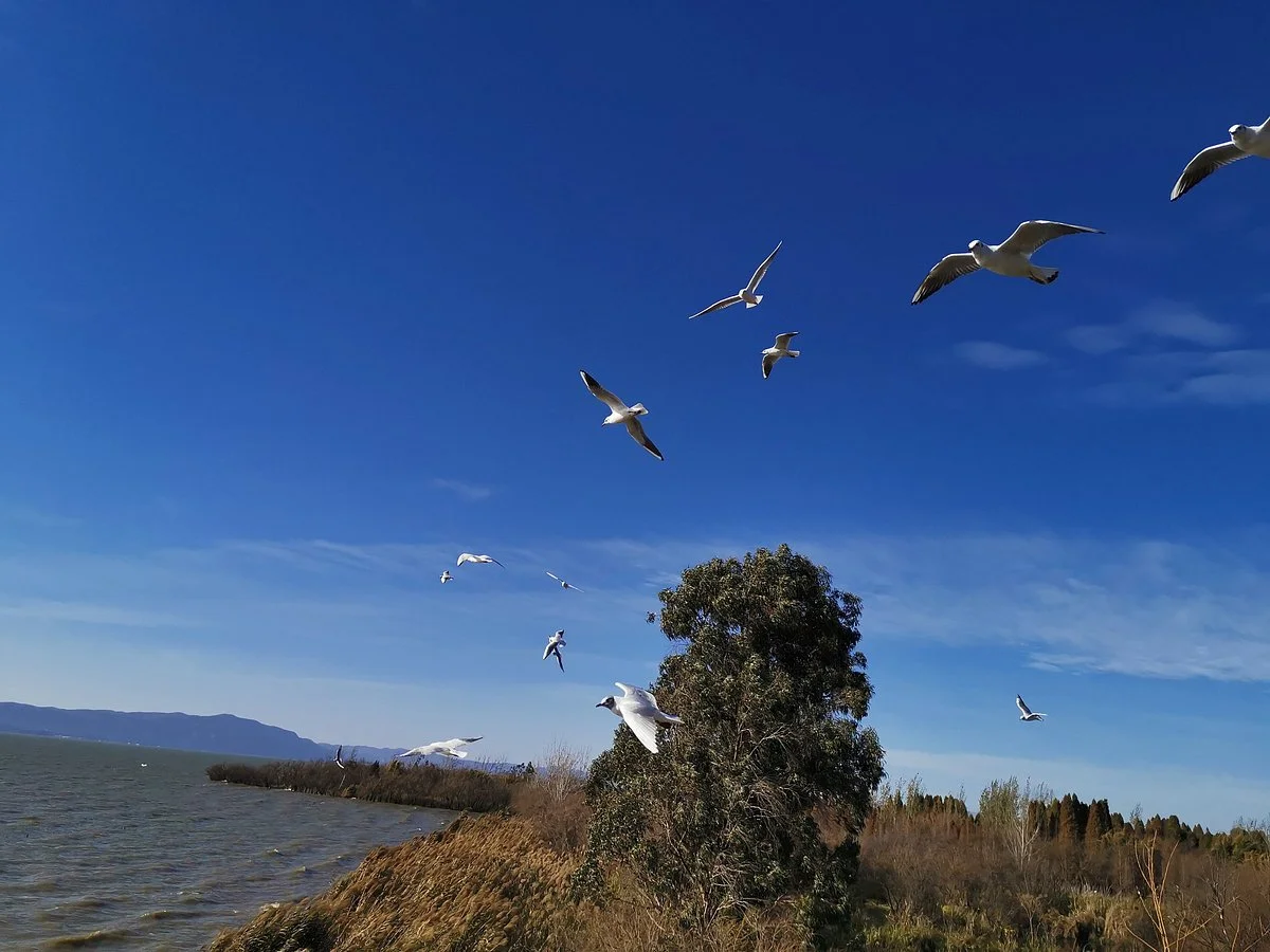 Haidong Wetlands Park