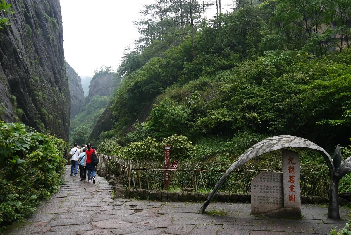 Da Hong Pao (Big Red Robe) Scenic Area