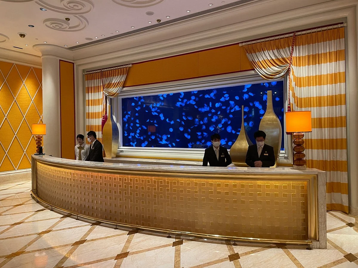 Moon Jellyfish Aquarium