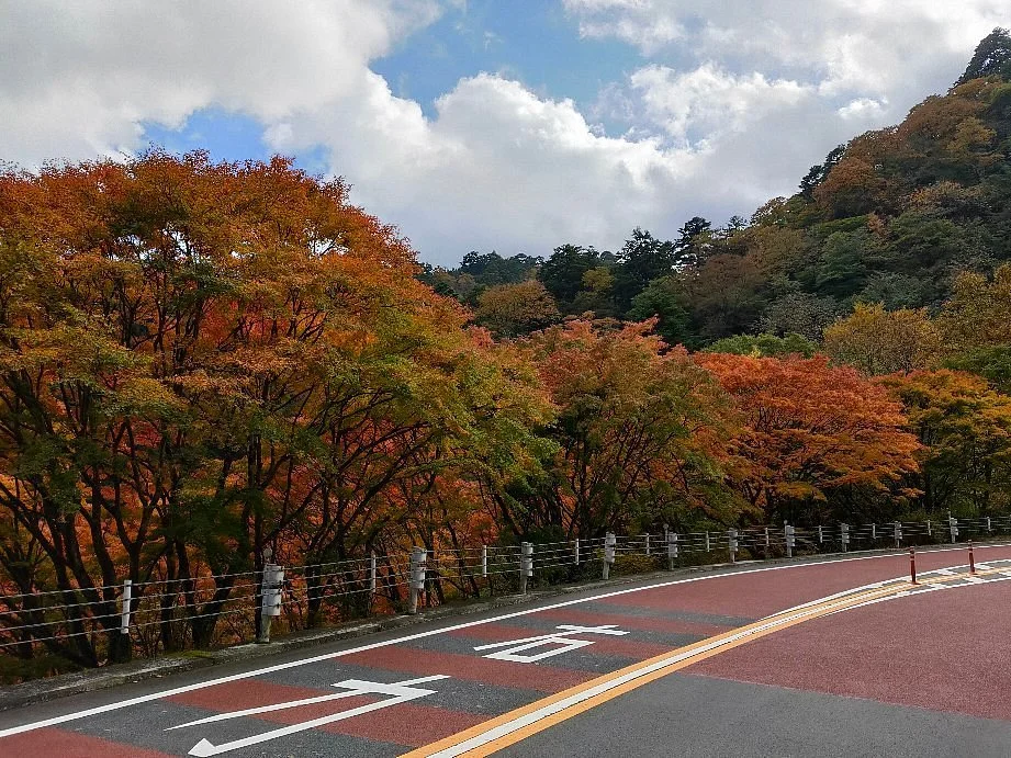 Okutama Shuyu Road