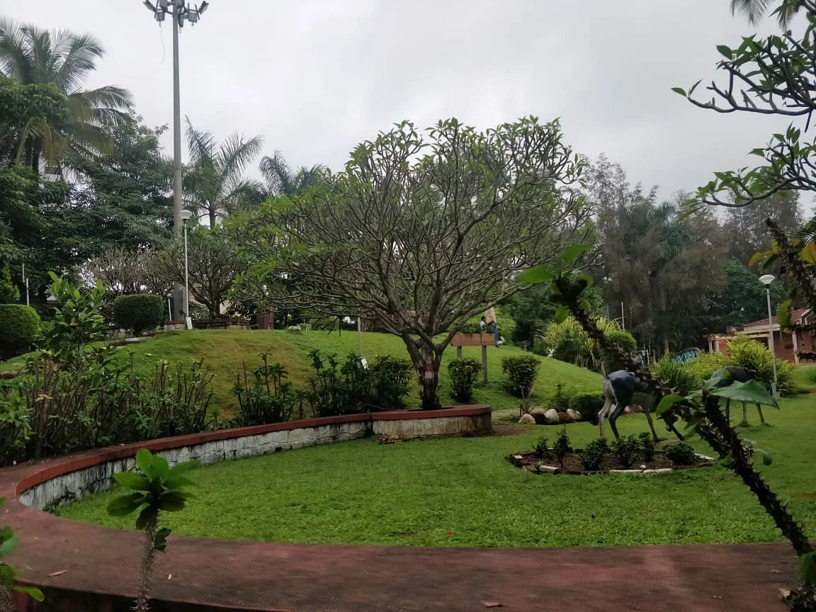 Congress Well Park
