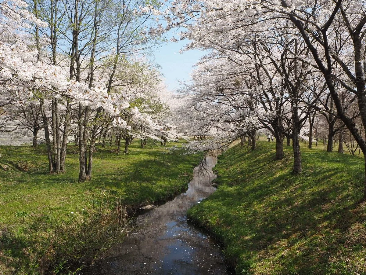 Shichikashuku Dam Nature Resting Park