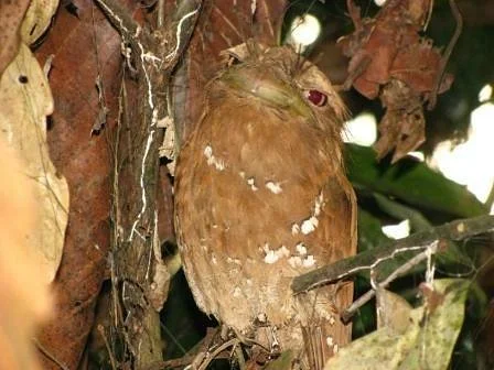 Salim Ali Bird Sanctuary