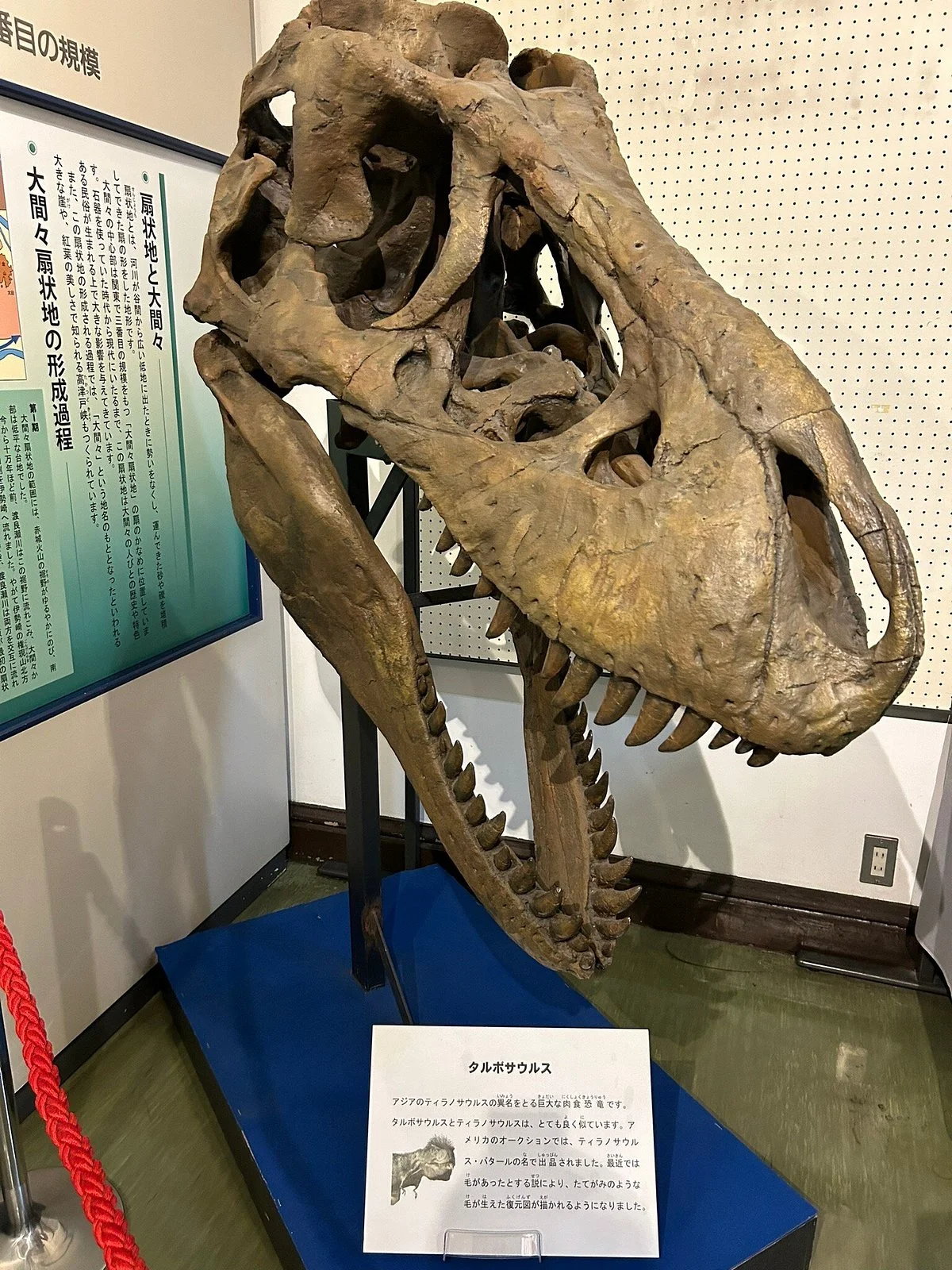 Conodont Museum