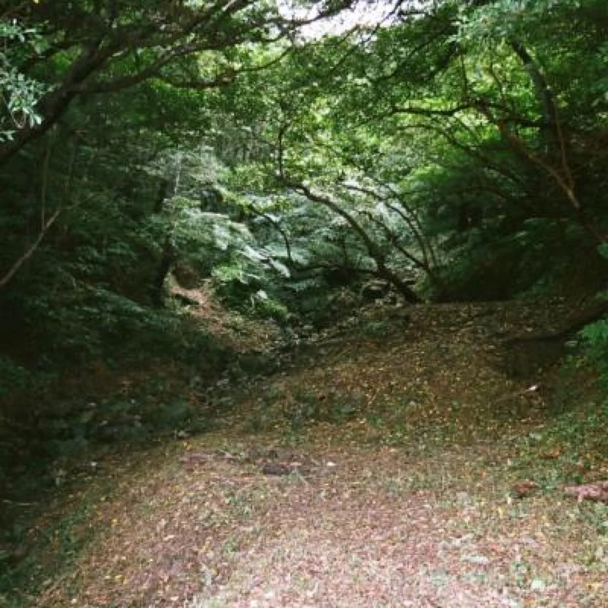 The Site of Yaedake Field Hospital