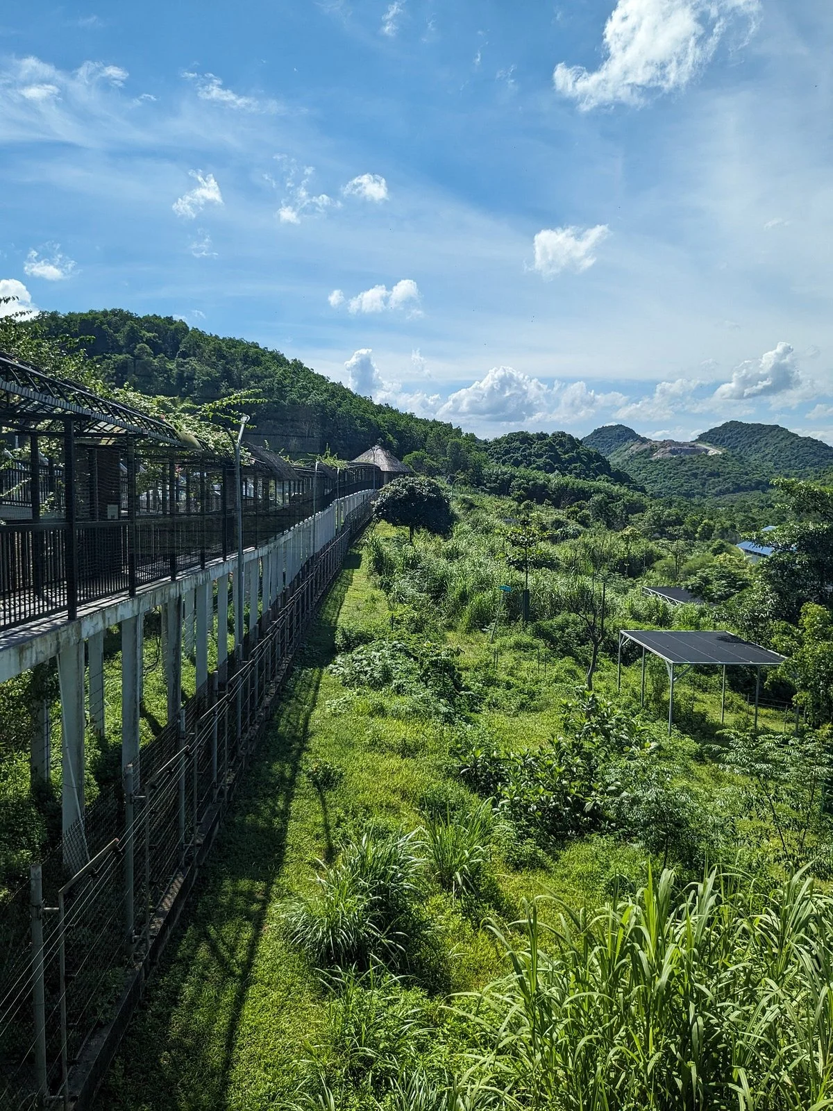 Bear Sanctuary Ninh Binh