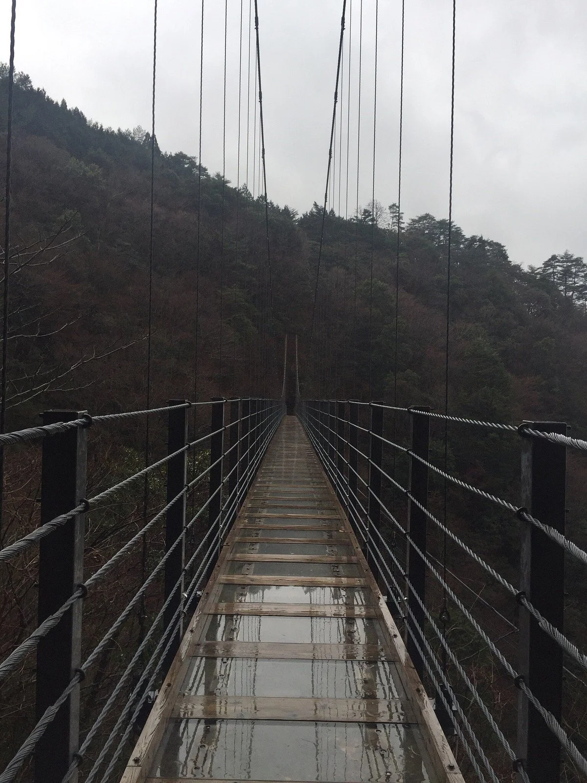 Hkuryuhi & Hakuryuo Bridge