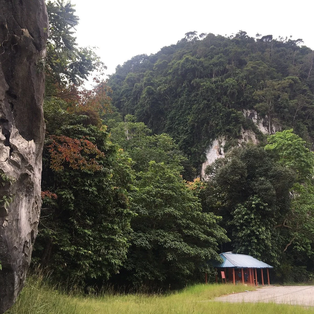 Ethnobotany Park