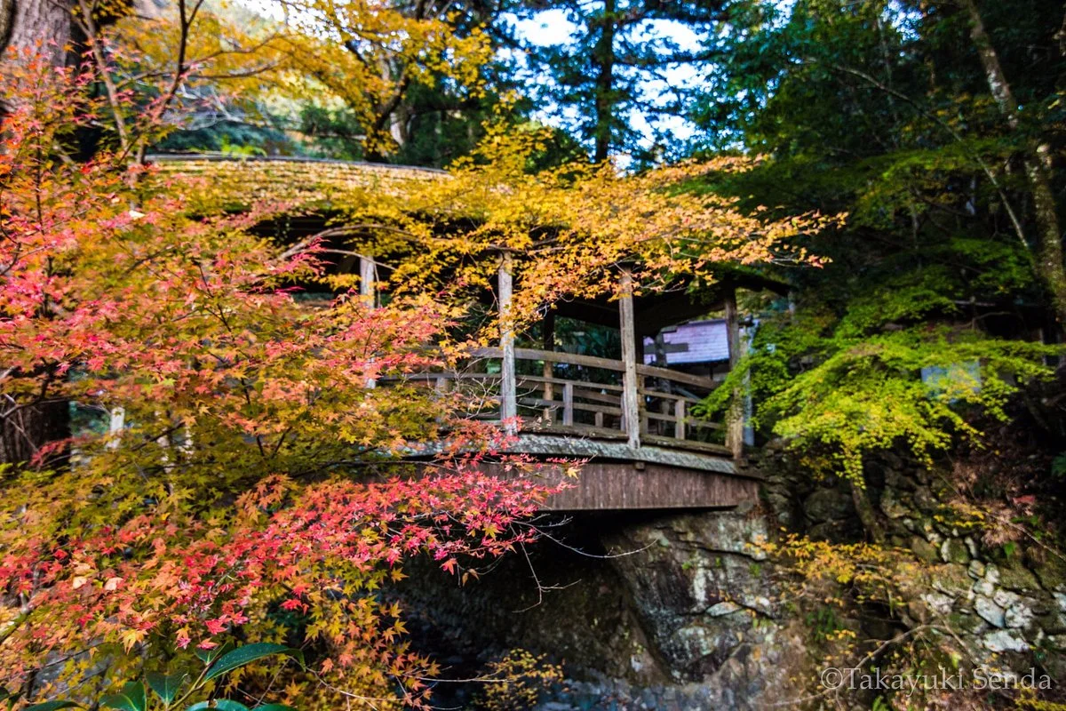 Yanetsuki Covered Bridge - Roman Yatsuhashi