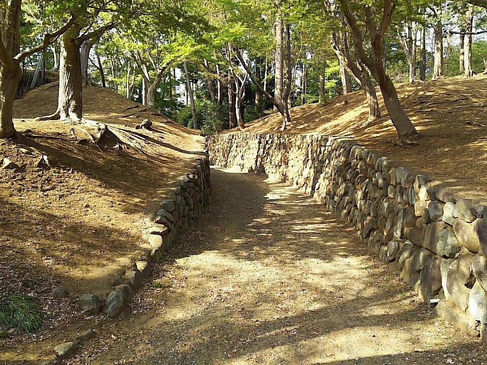 Ishizuka Forest