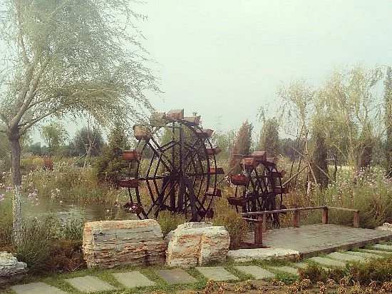 Lotus Lake Wetland