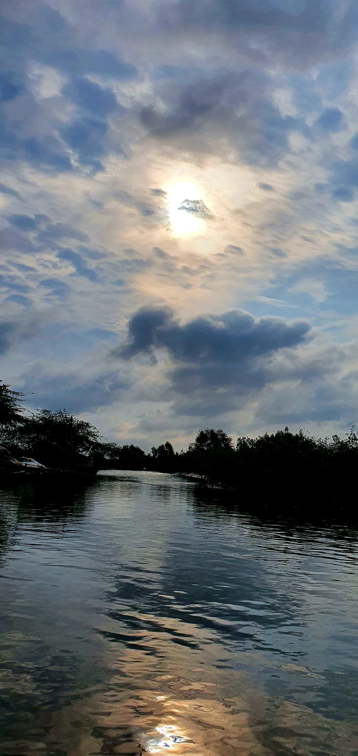 Bichitrapur Mangrove Reserve