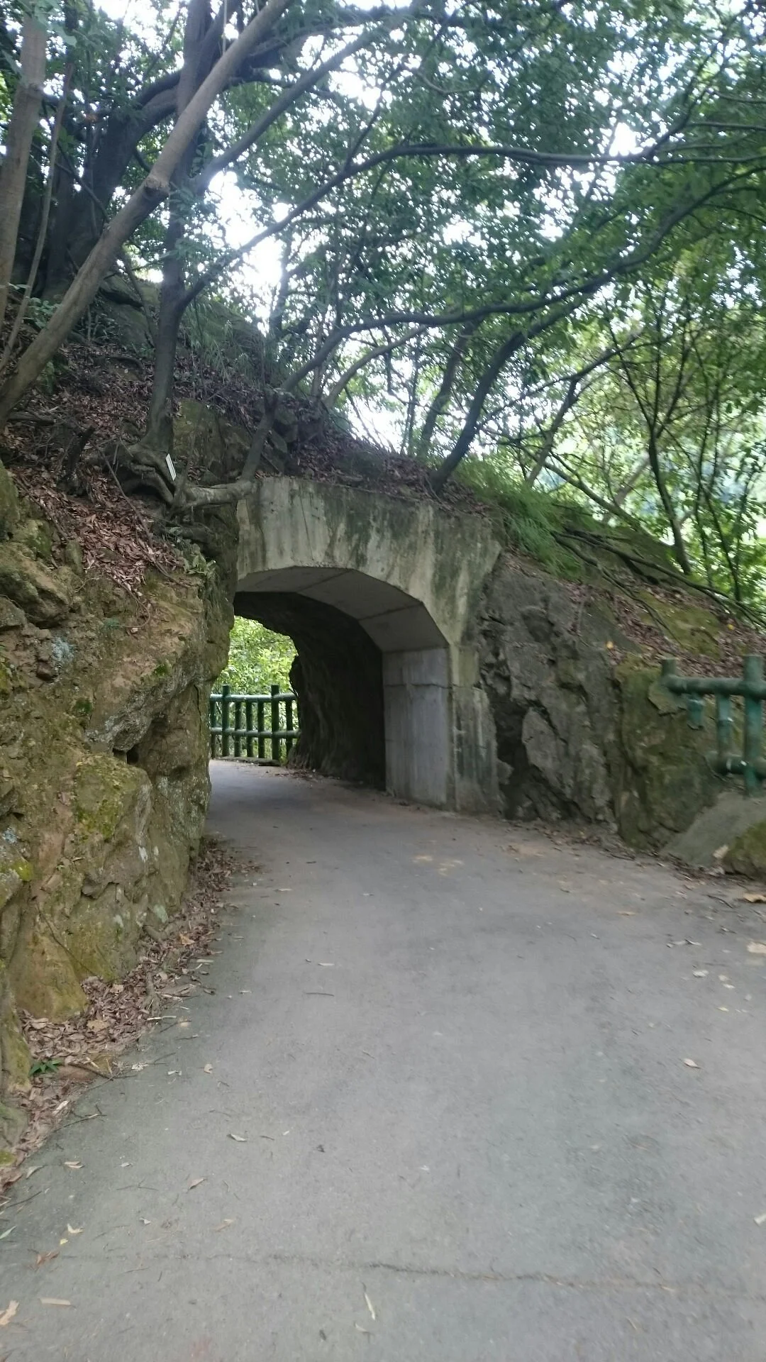 Sun Long Trail