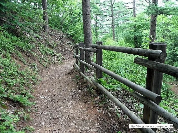 Jungmisan Mountain Recreational Forest