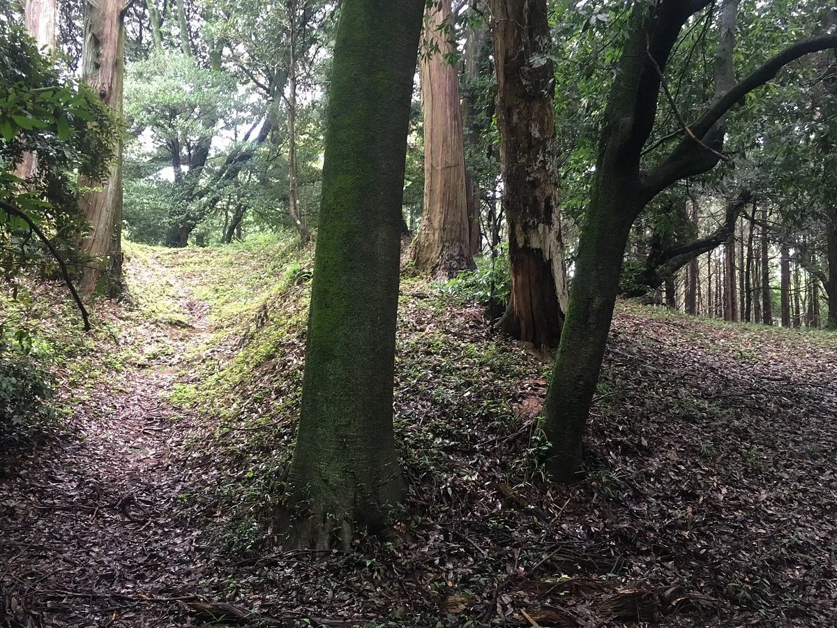 Maruyama Kofun
