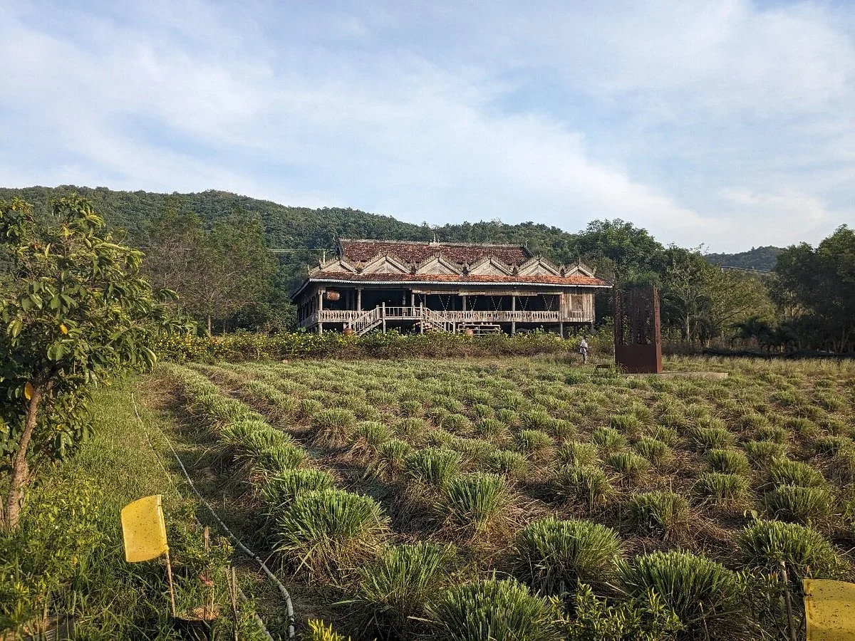La Plantation