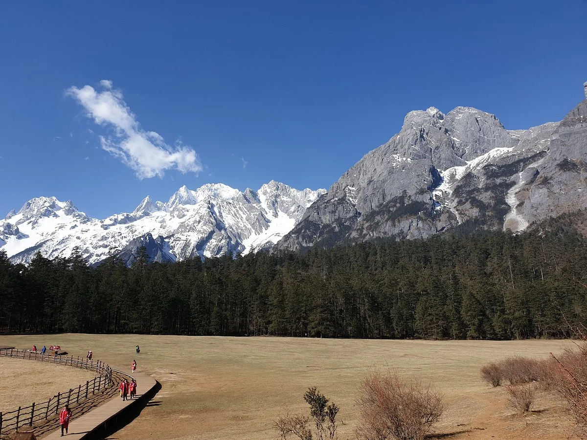 Lijiang Spruce Plain