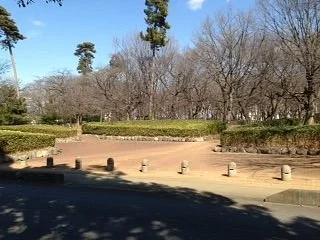 Doto Shinrin Park