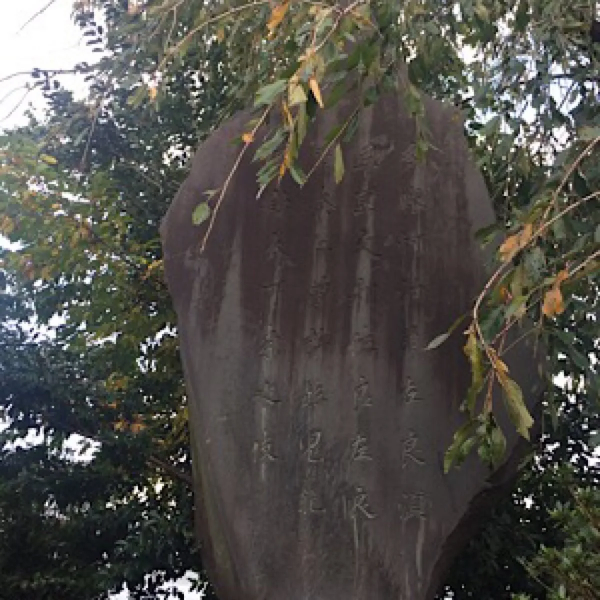 Tamagawahi