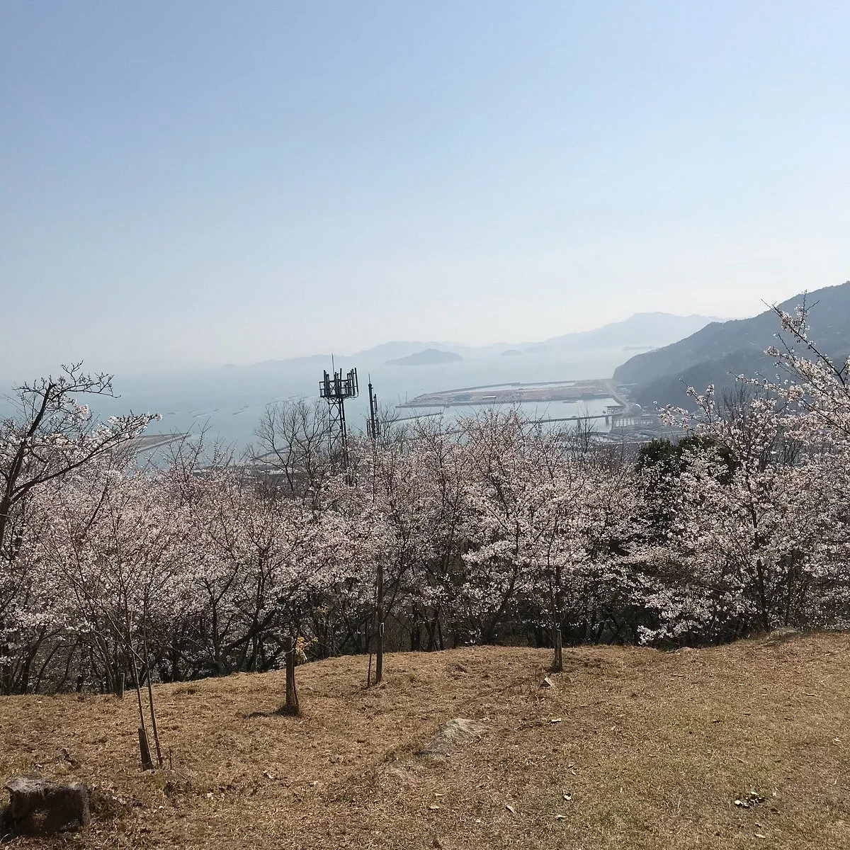 Ozorayama Park