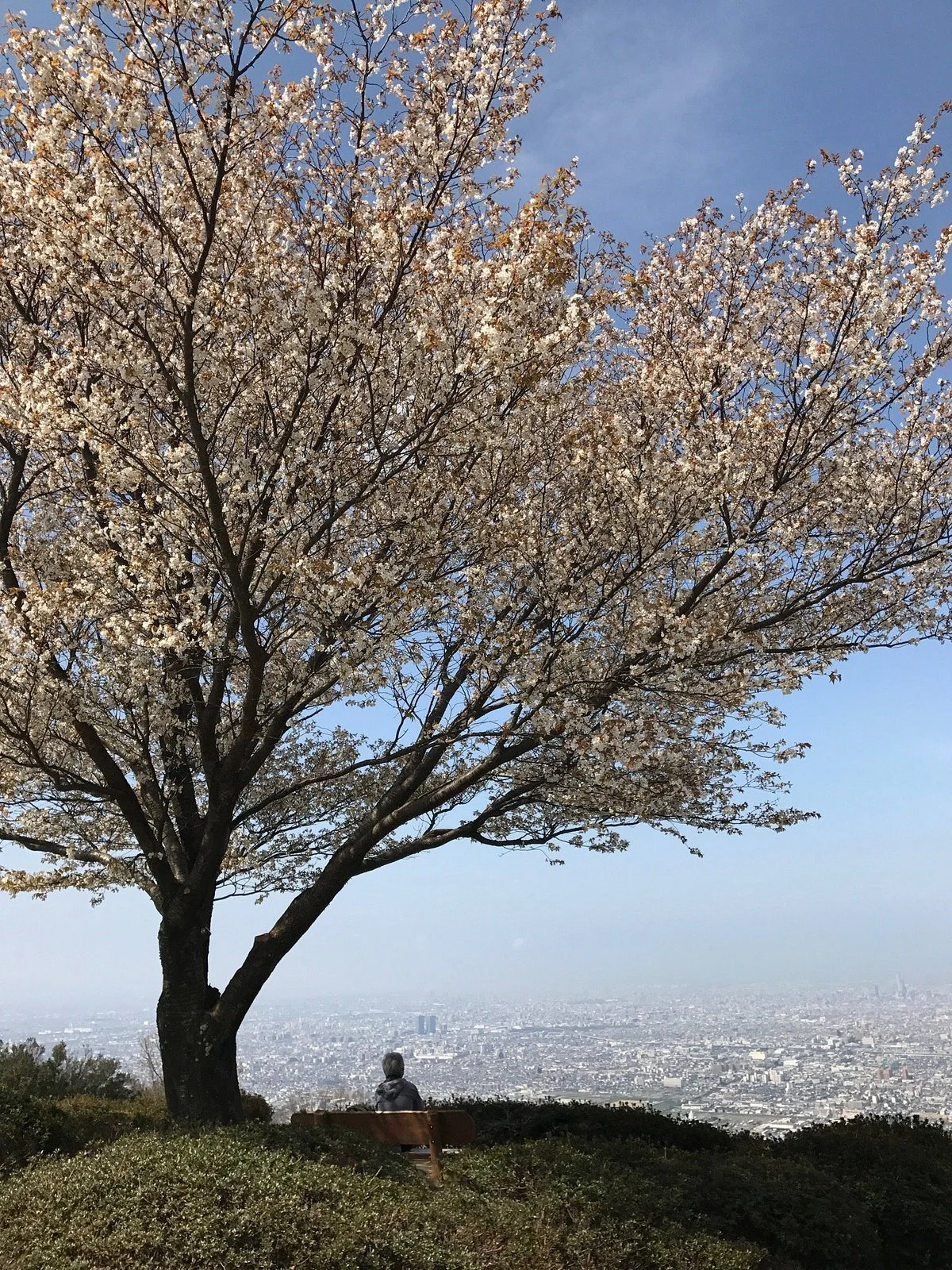 Mt. Ikoma