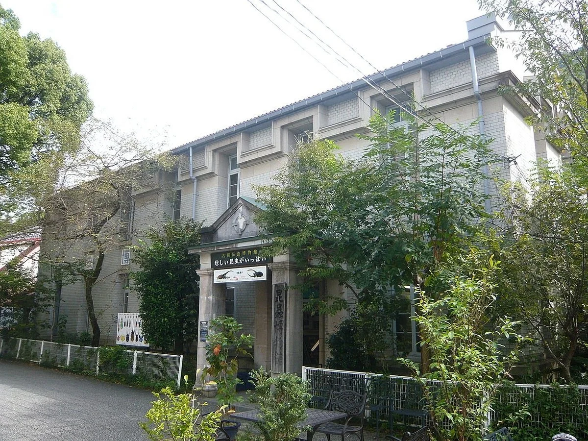 Suwa Kuwagata Insect Museum