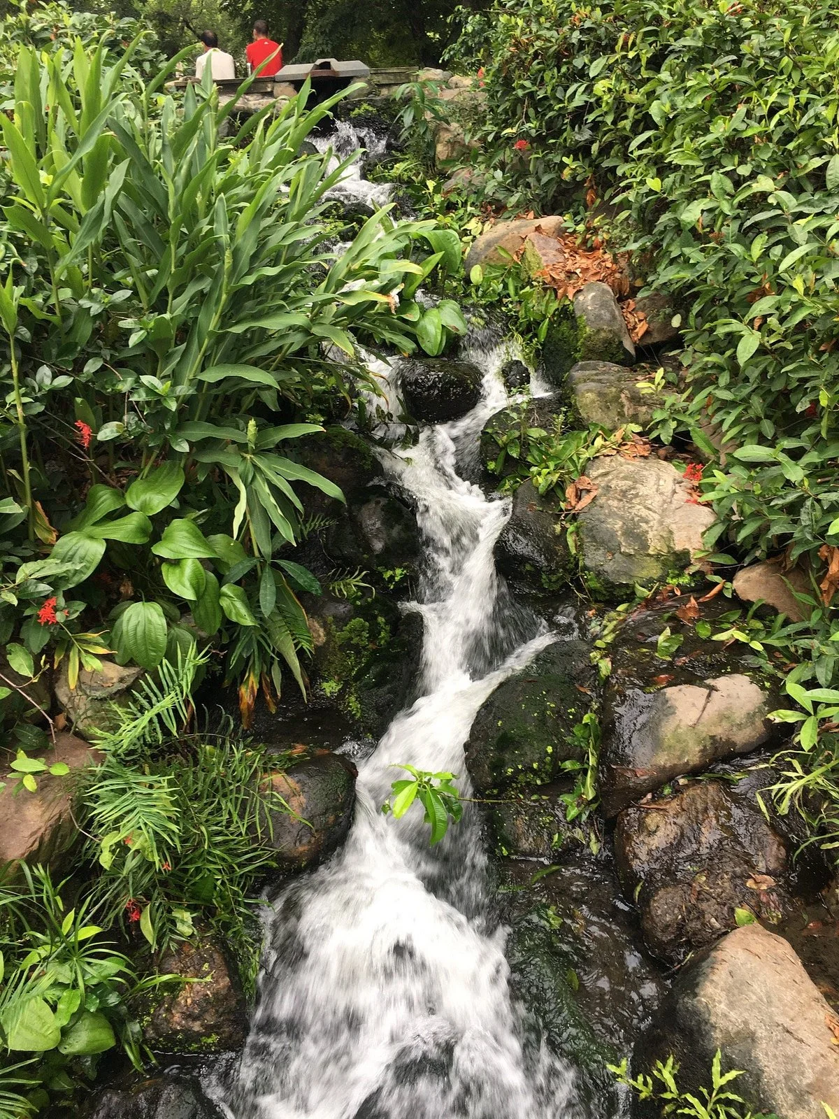 Dadong Park