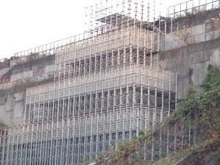 Nihonichino Jungle Jim