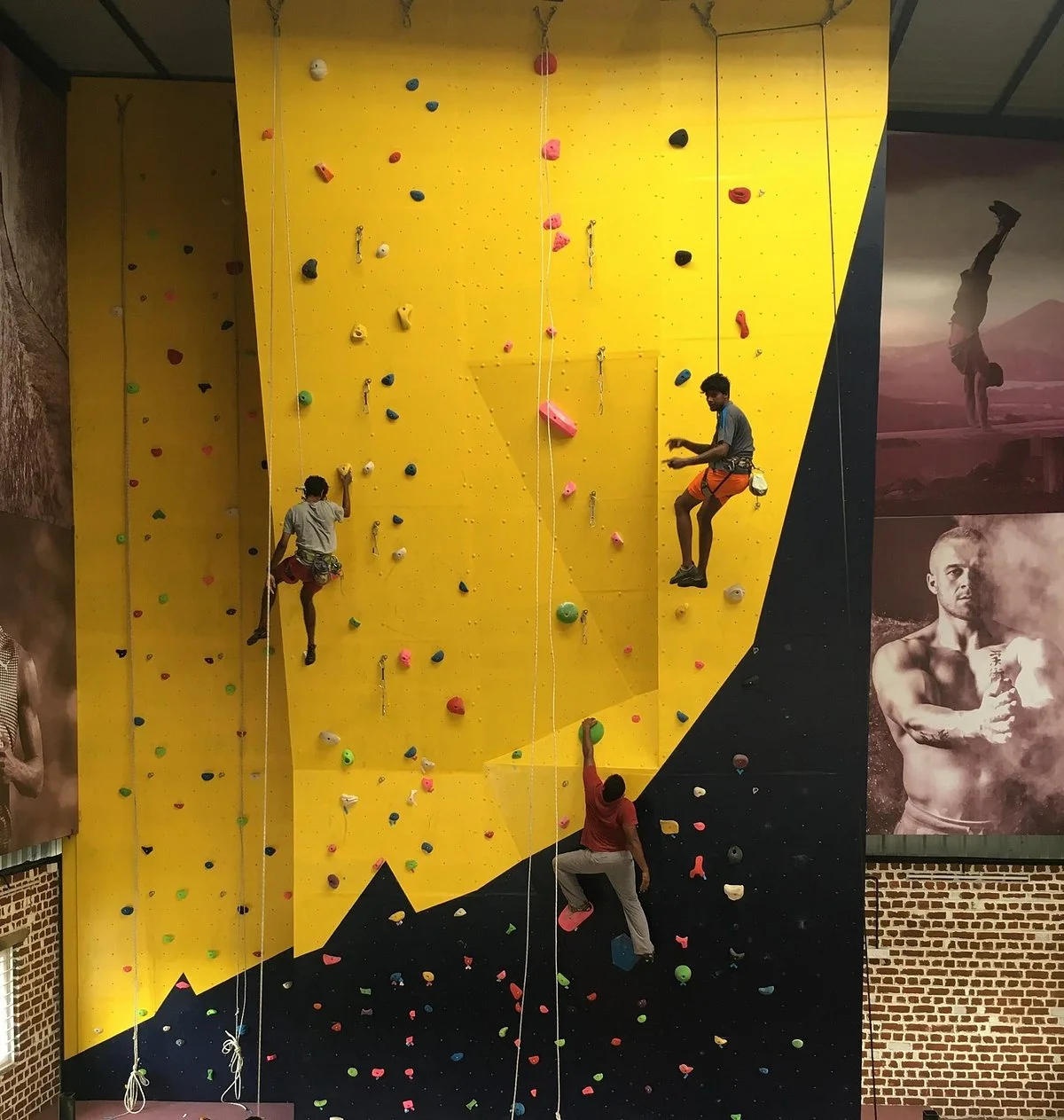 Fit Rock Arena