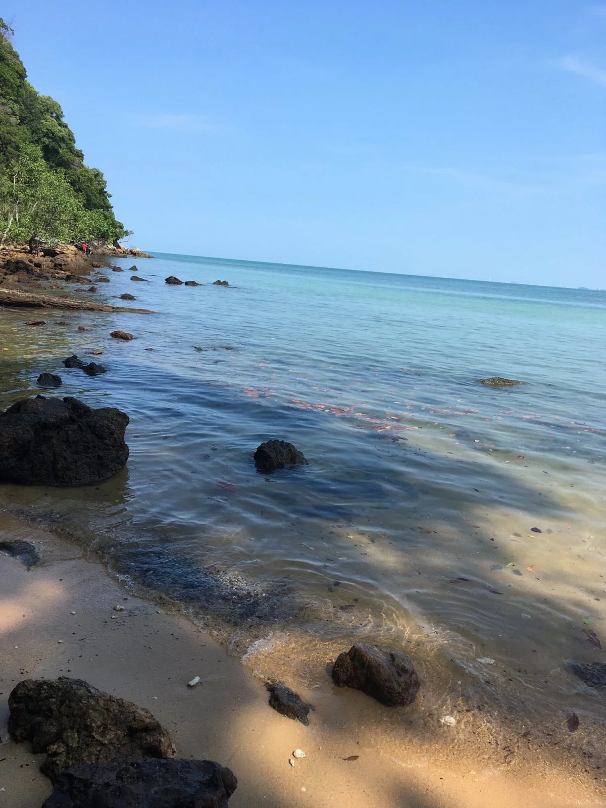 Tanjung Tuan Recreational Forest