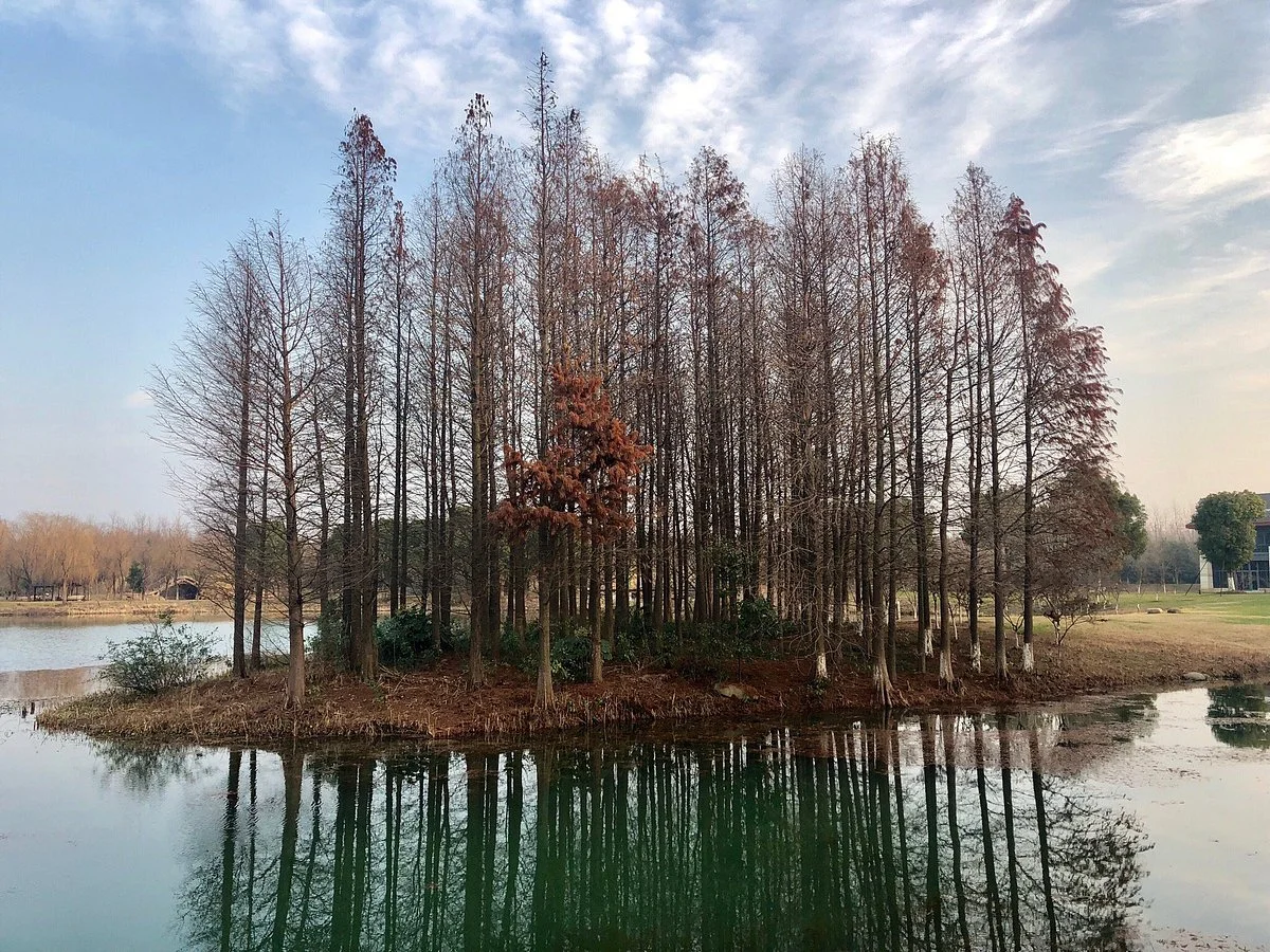 Tianfu National Wetland Park